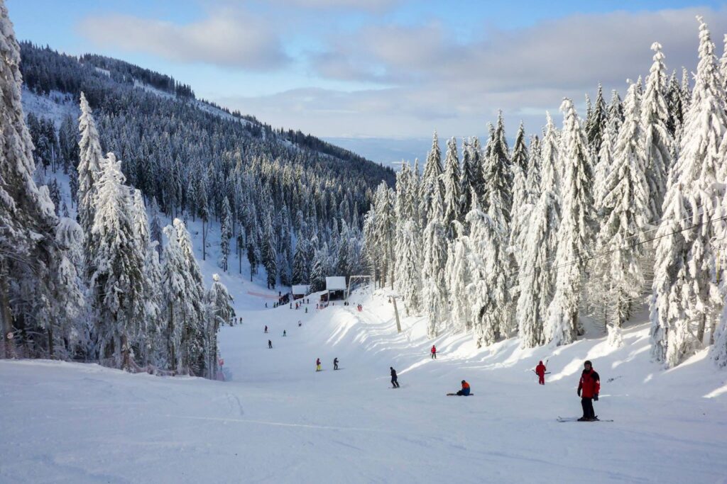 2018 01 10 16 15 52 175a56201827b4f 3