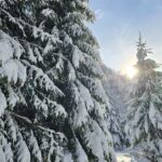 20241124 134249 scaled 1