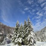 20241124 134324 scaled 1