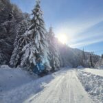 20241124 134536 scaled 1