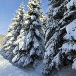 20241124 135132 scaled 1