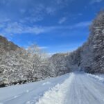 20241124 141108 scaled 1