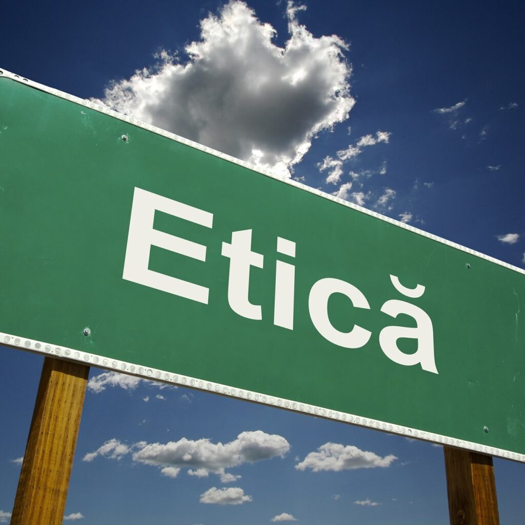 306793097 532830085510041 6417280530084399675 n