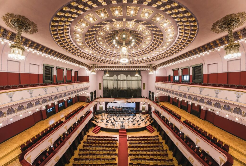 337430932 264227975941498 8973374464648942381 n