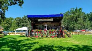 449305347 907022294772916 4294109450482940783 n