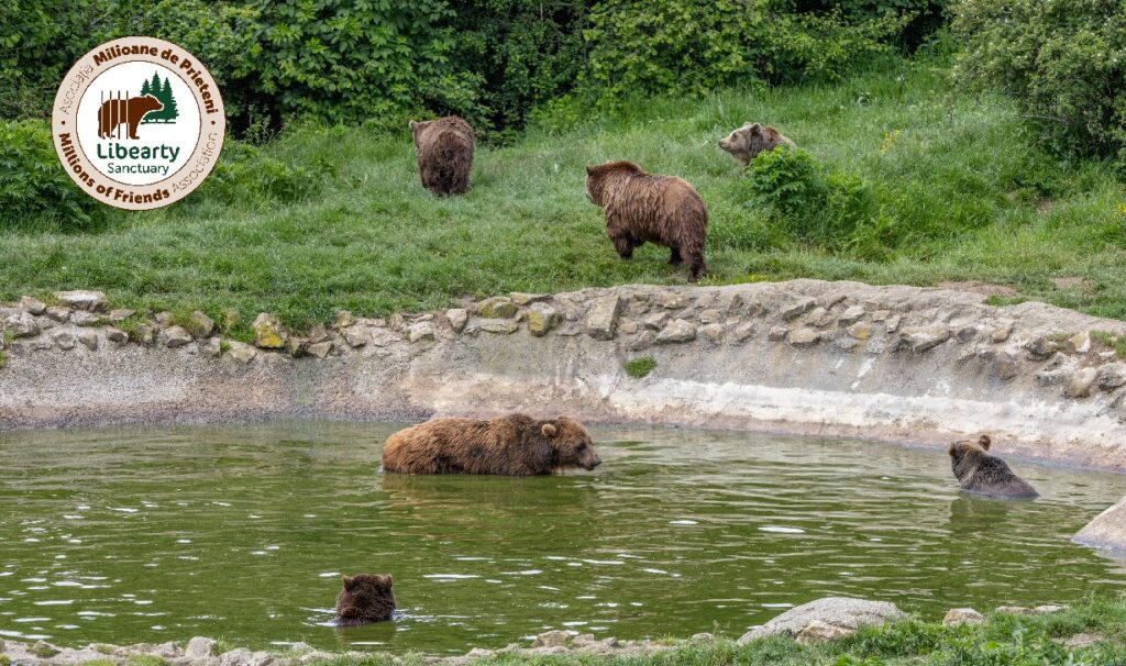 450653173 871470915012553 3759576324599293253 n