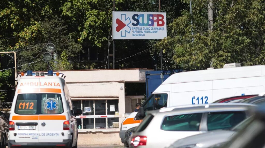 454651247 2568690443331155 3737927307413376052 n