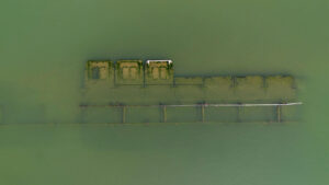 459161168 1093784306081482 9023363384381827985 n