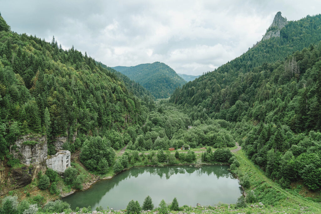 462601847 1003294495143135 5064956670033670747 n