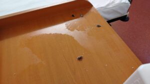 464019618 881270537441083 4362413017586808252 n