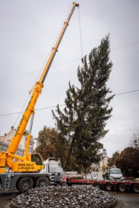 467528020 994054115860164 8850285404223832507 n