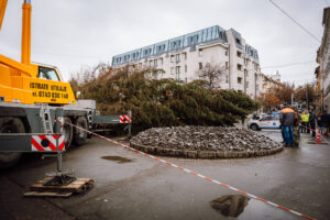 467889421 1091313206339379 4129281495135276974 n