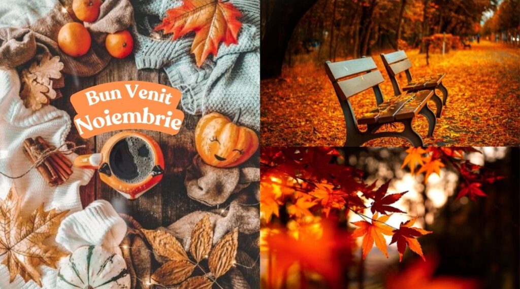 Bun Venit Noiembrie