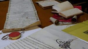 FB IMG 1731323452131