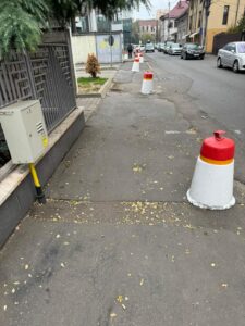 FB IMG 1732088839466