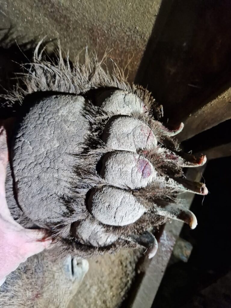 FB IMG 1746967224122