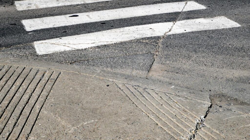 Când trafaletul întâlnește legea: cum și-a făcut un sucevean propria zebră și a dat de bucluc IMG 8763