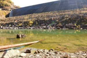 Imagine WhatsApp 2024 07 03 la 15.14.34 7b1de324