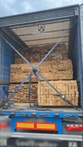 Imagine WhatsApp 2024 08 05 la 11.22.02 3cb962a5 1