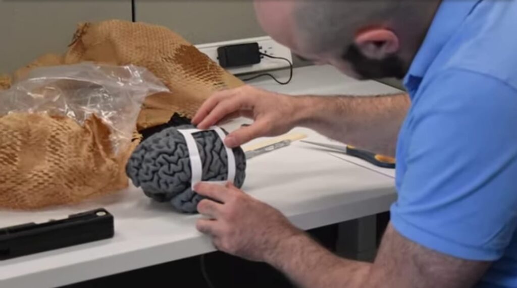 Imagine WhatsApp 2024 08 15 la 16.19.16 1041c10e