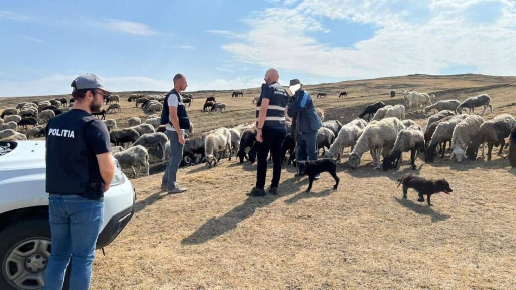 Imagine WhatsApp 2024 09 10 la 12.07.04 f05f5131