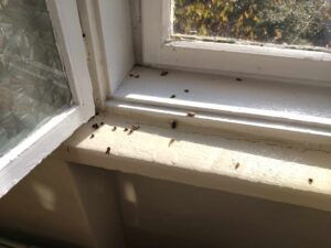 WhatsApp Image 2024 10 19 at 15.45.50 1