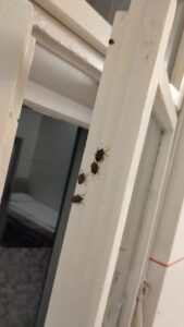 WhatsApp Image 2024 10 19 at 15.45.50