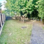 WhatsApp Image 2024 11 12 at 16.19.24 2