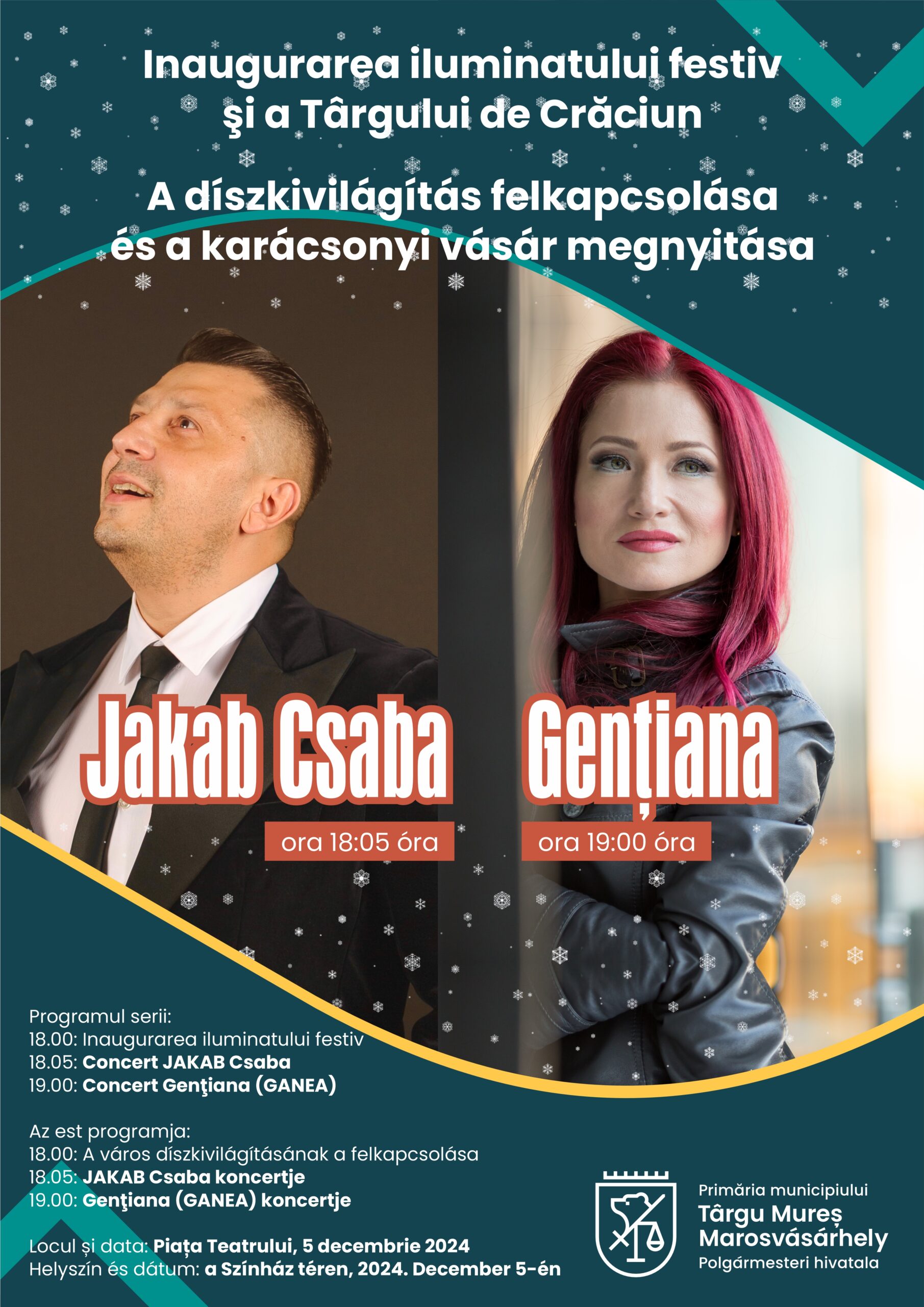 afis iluminat brad 2024 scaled