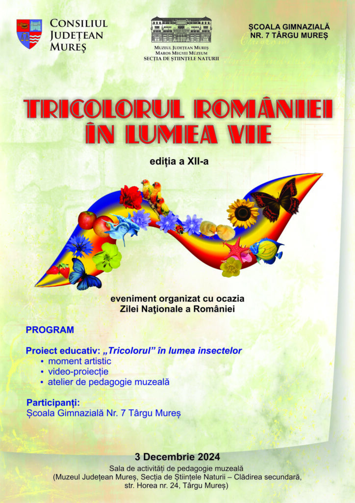 afis tricolor2024 scaled 1