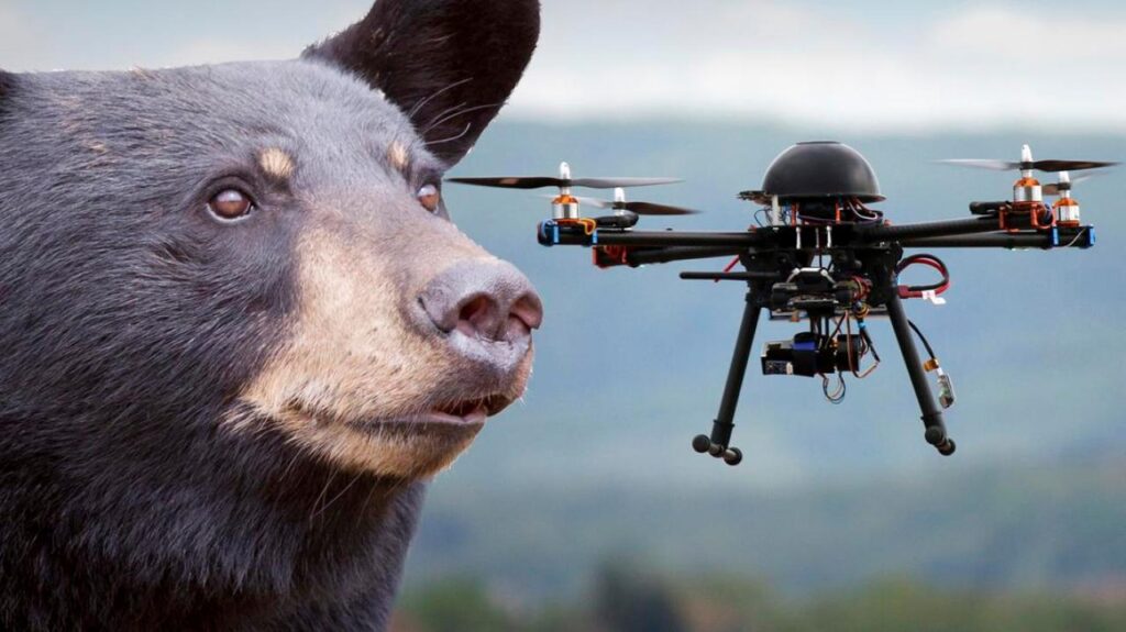beardrone