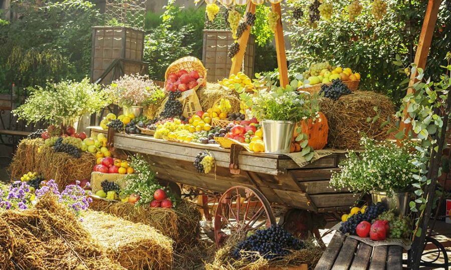 Mureș: Fermieri şi procesatori din 13 ţări, la ediţia a doua a Festivalului European BIO şi al Tradiţiilor Locale bio e1725605167273