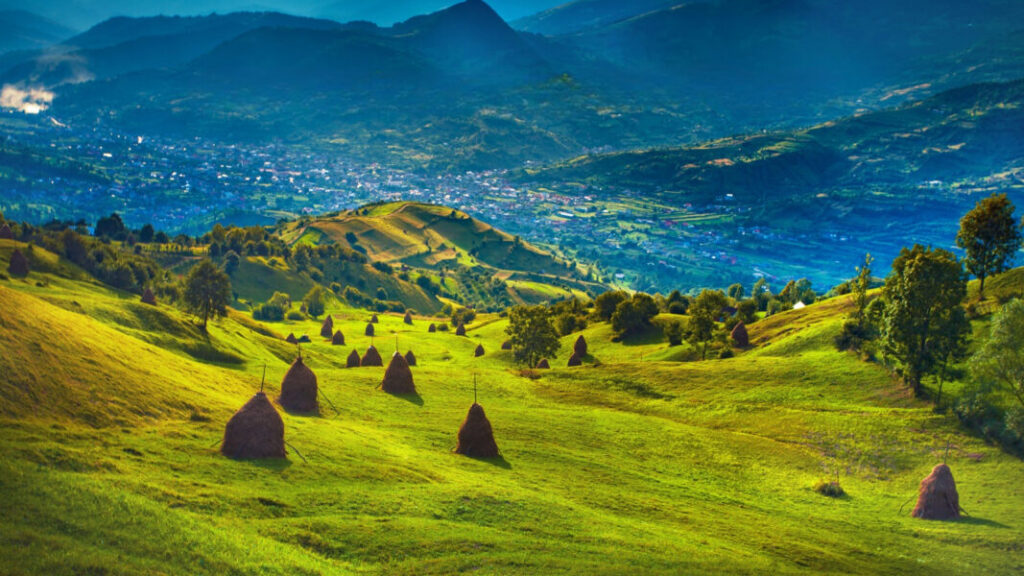 capite fan 1 e1743934996561