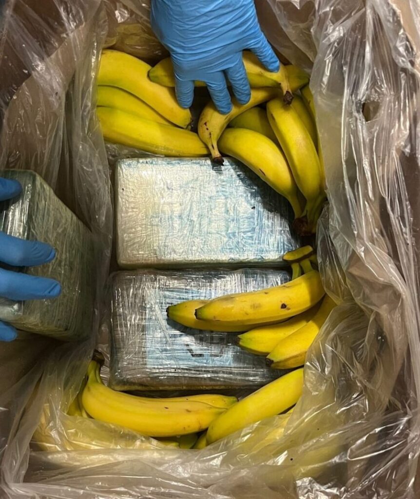 Cocaină în magazine Aldi din Germania, după o eroare făcută într-un port belgian cocaina banane1 e1727602513347