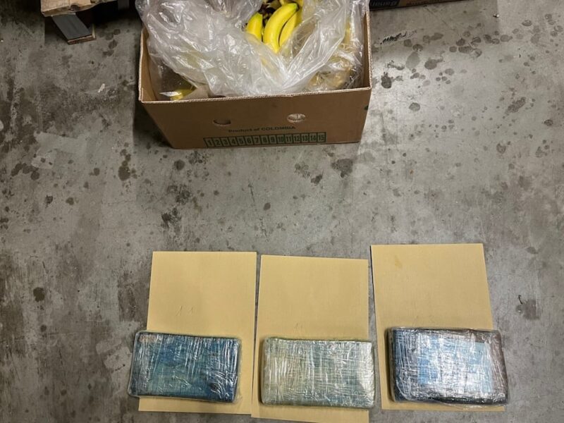 Cocaină în magazine Aldi din Germania, după o eroare făcută într-un port belgian 1 cocaina si banane e1727602390423