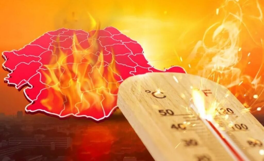 media 171985399247901900 1