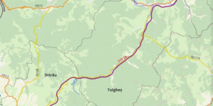 media 173028343763779600